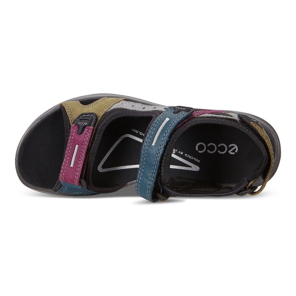 Womens Sandals - ECCO Offroad Flat - Olive - 0874QLKCI